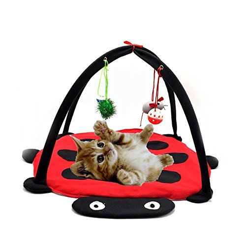 Cat Play Mat, Cat Tent Activity Center with Hanging Toys